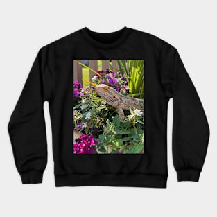 Bearded Dragon :: Reptiles and Amphibians Crewneck Sweatshirt